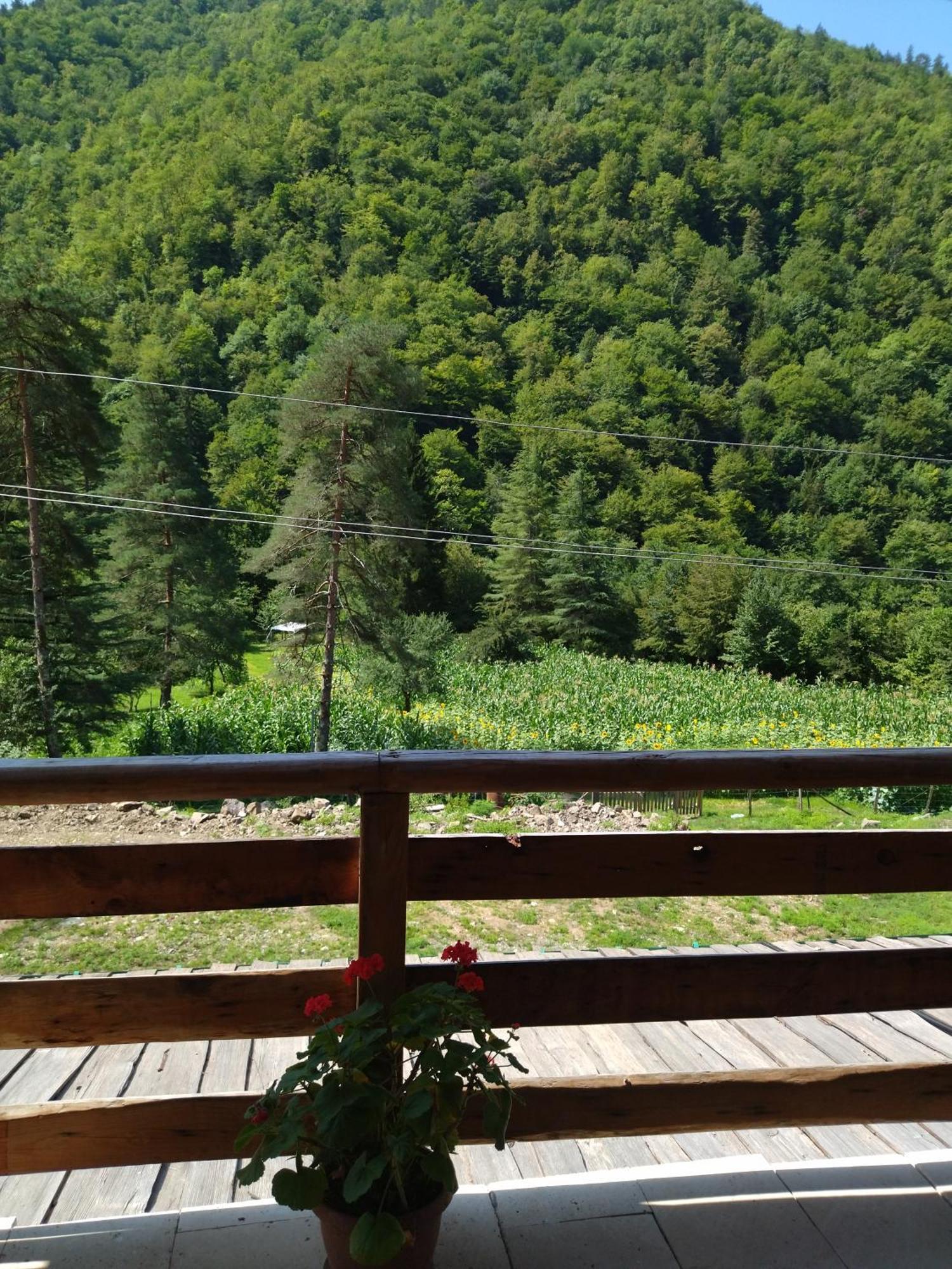Hotel Alismereti Zekari Exteriér fotografie
